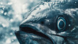 Close-up of a tuna fish in water, showing detailed textures of its skin and eye, creating a powerful visual impact.