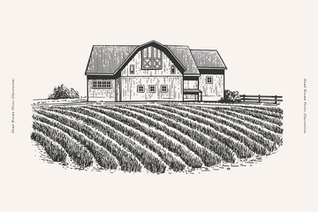 Wall Mural - Landscape with a farmer's house and field. An old village house and a cultivated field with beds. Farmland in engraved vintage style.