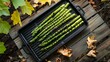 Asparagus Grilling in an Outdoor Setting