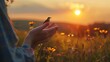 Woman hands praying and free bird enjoying nature on sunset background, hope and faith concept