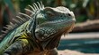 a very close up view of an iguana in captivity
