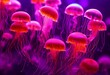 A group of mesmerizing glowing jellyfish. They glow in pink, purple and red hues.
