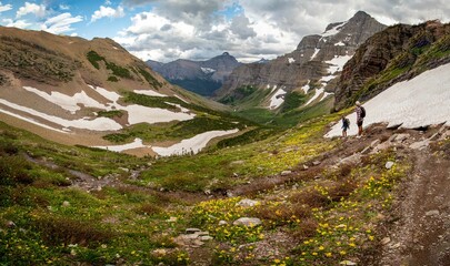 Wall Mural - Hikers walking on a trekking trail with yellow lilies, in Glacier National Park in northern Montana