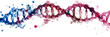 Watercolor DNA molecule structure with transparent background. Biotechnology and biochemistry concept.