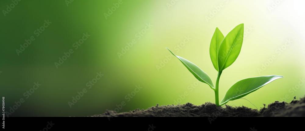 An inspiring image of a young plant sprouting from rich soil ...