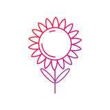Fototapeta Młodzieżowe - Sunflower Gradient Icon Vector Illustration