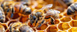 Honey bees busy at work, pollinating and creating honey on a vibrant honeycomb, displaying teamwork and biodiversity.