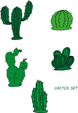 Vector set of colored cacti in doodle style.