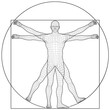 Vector Illustration Based on Leonardo da Vinci’s Vitruvian Man. Concept of Ideal Proportions of the Human Body. 3D Mesh Style