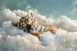 Clouds of Comfort, Cute Little Tiger Sleeping Peacefully on a Fluffy White Cloud