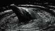   A dolphin in a body of water, its head emerging from the waves – black and white image