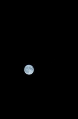 full moon in the night