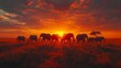   A herd of elephants atop a verdant field, beneath a cloud-studded sky, as the sun sets