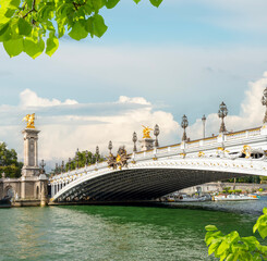 Wall Mural - View of Pont Alexandre III in Paris