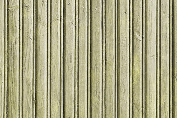 Wall Mural - Vertical green lines. Green peeling paint wood plank texture. Outdoor, weathered summer house wall. Grunge wooden board background. Dry paint peel texture. Grunge bright green stripes.