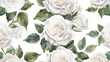bouquet of white roses on white background