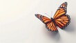 A monarch butterfly on a white background