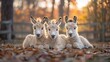   Three baby llamas rest atop a mound of leaves within a fenced enclosure