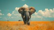   An elephant stands in a field of tall grass beneath a clear blue sky adorned with scattered puffy white clouds