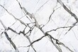 the exquisite beauty of Calacatta marble, prized for its distinctive white background and bold, dramatic veining that creates a striking visual contrast
