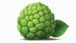 Sugar apple is a bomb shape fruit with rough scaly