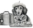 Ritratto a grafite di cane bassotto con una valigia, illustrazione isolata su sfondo bianco