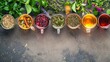 Different herbal teas made from natural herbs, showcased from above with room for text