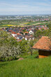 Blick auf die Stadt Offenburg-Zunsweier im Ortenaukreis