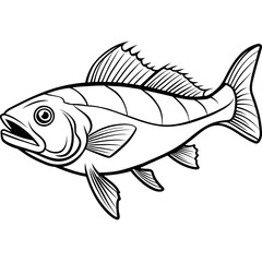 Illustration of a fish on a transparent background