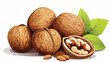 The walnuts with white spots .. 2d flat cartoon vac