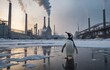 A penguin stands in water near a factory, under cloudy sky