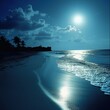 Moonlight Romantic Environment at the Beach