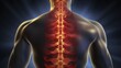 Spinal column, vertebral column or backbone is part of the axial skeleton.