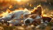 Craft a heartwarming scene of a sleeping pet dreaming of chasing butterflies in a sunlit meadow