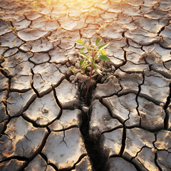 Sticker - Dry land, with arid and cracked soil because of drought, due to climate change