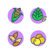 Organic food line icon set. Corn cob, pine nuts, sunflower seeds, honeycomb. Organic products, food concept. Vector illustration for web design and apps