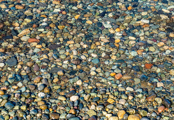 Wall Mural - Dash Point Sea Rocks 2