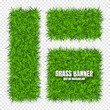 Green grass banners, background. Field, meadow texture, grassy landscape. Organic, bio, eco and natural lifestyle design elements. Ecology and environment protection. Vector illustration