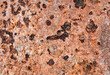 Old grunge rustic metal texture use for background. Oxidized metal surface making an abstract texture.