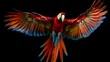 A colorful macaw in flight, showcasing its wingspan