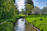 Fototapeta Natura - Frühling in Ettenheim in der Ortenau