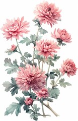  Vibrant Chrysanthemum Floral Watercolor Painting Generative AI