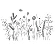 Hand drawn doodle drawing of field herbs and flowers