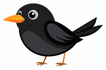 blackbird vector illustration