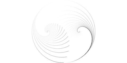 Wall Mural - Circular spiral sound wave rhythm from lines.vector illustration