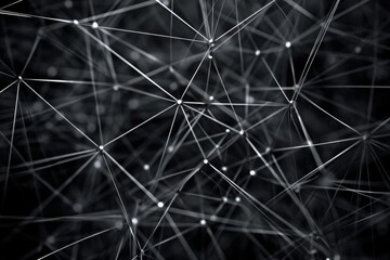 Poster - Multiple Contour Lines in a Black and White Photograph, A web of interconnected strings illustrating the complex network of opioid trade, AI Generated