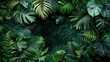© Kelly - Tropical forest in a tropical garden on black background, generative ai
