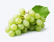 A white grape isolated on a white background