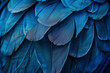 Vibrant Blue Macaw Feather Close-Up Texture