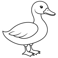 Poster - duck isolated